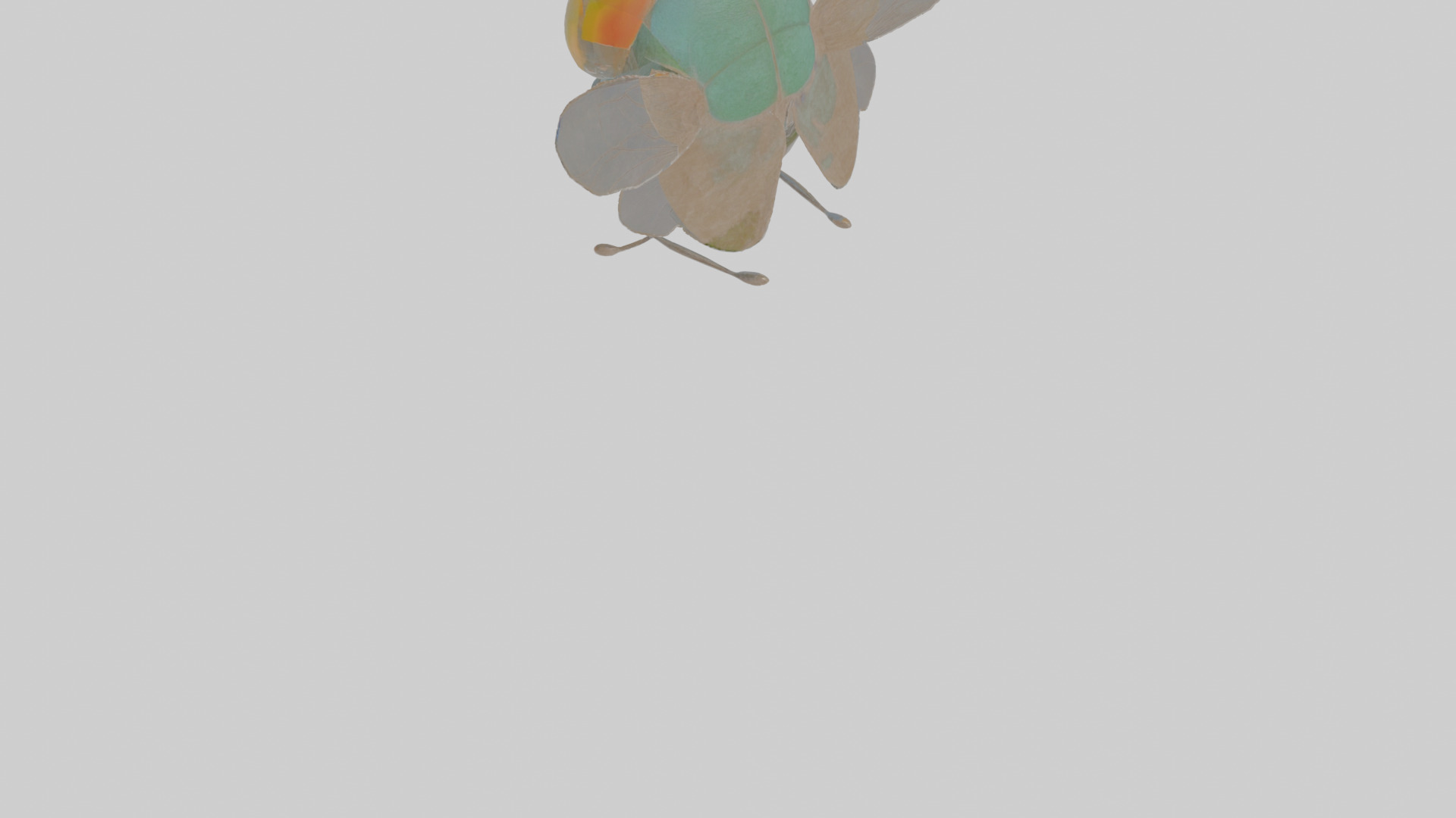 Cartoon Fly Low-poly 3D model_5