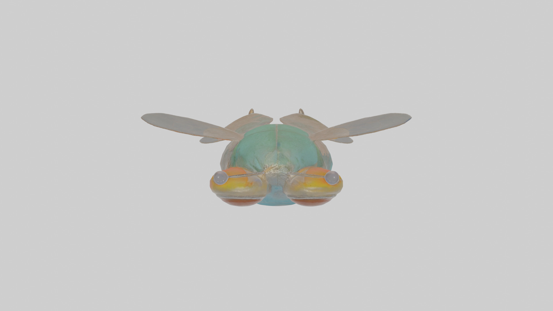 Cartoon Fly Low-poly 3D model_21