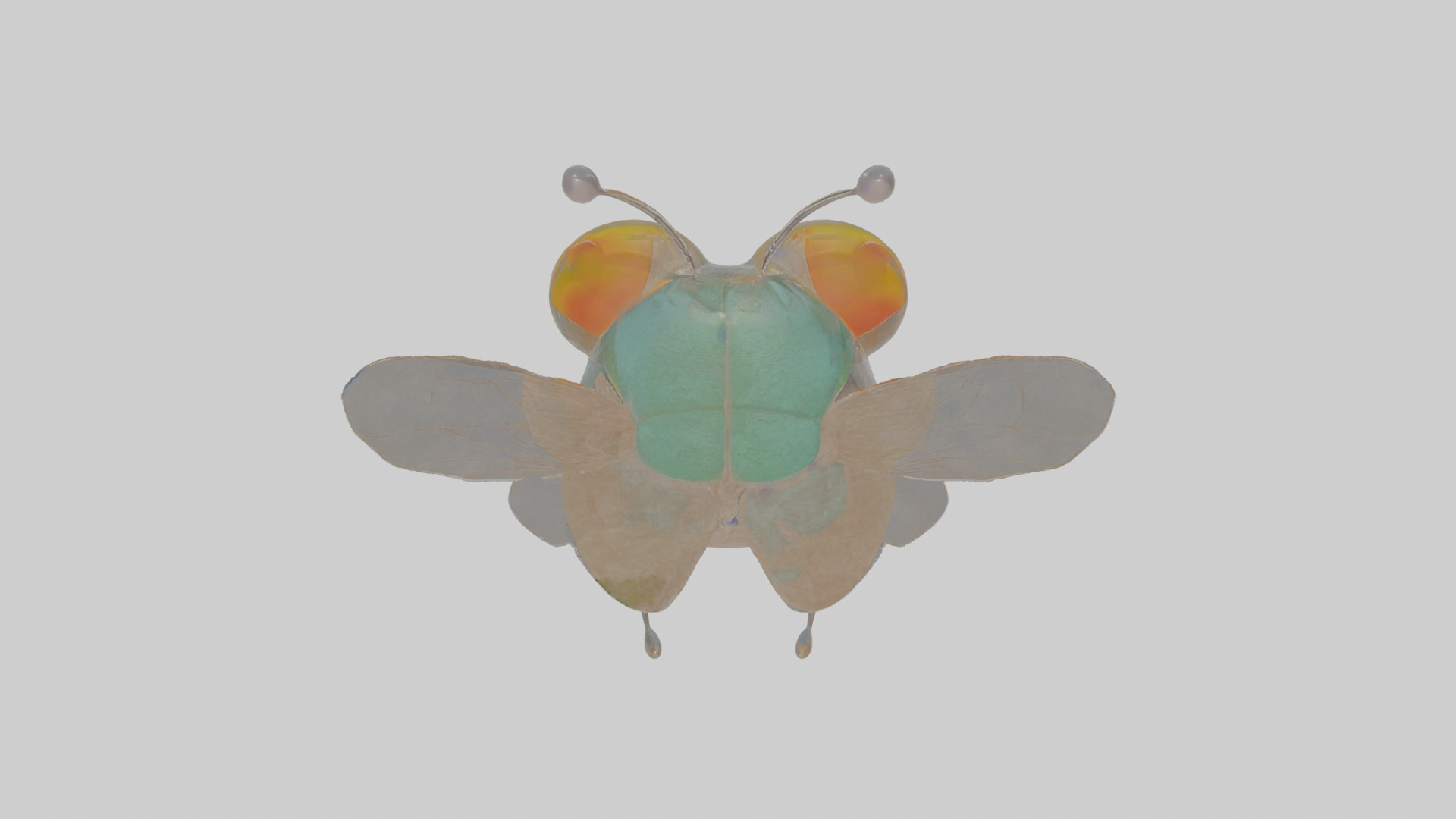 Cartoon Fly Low-poly 3D model_22