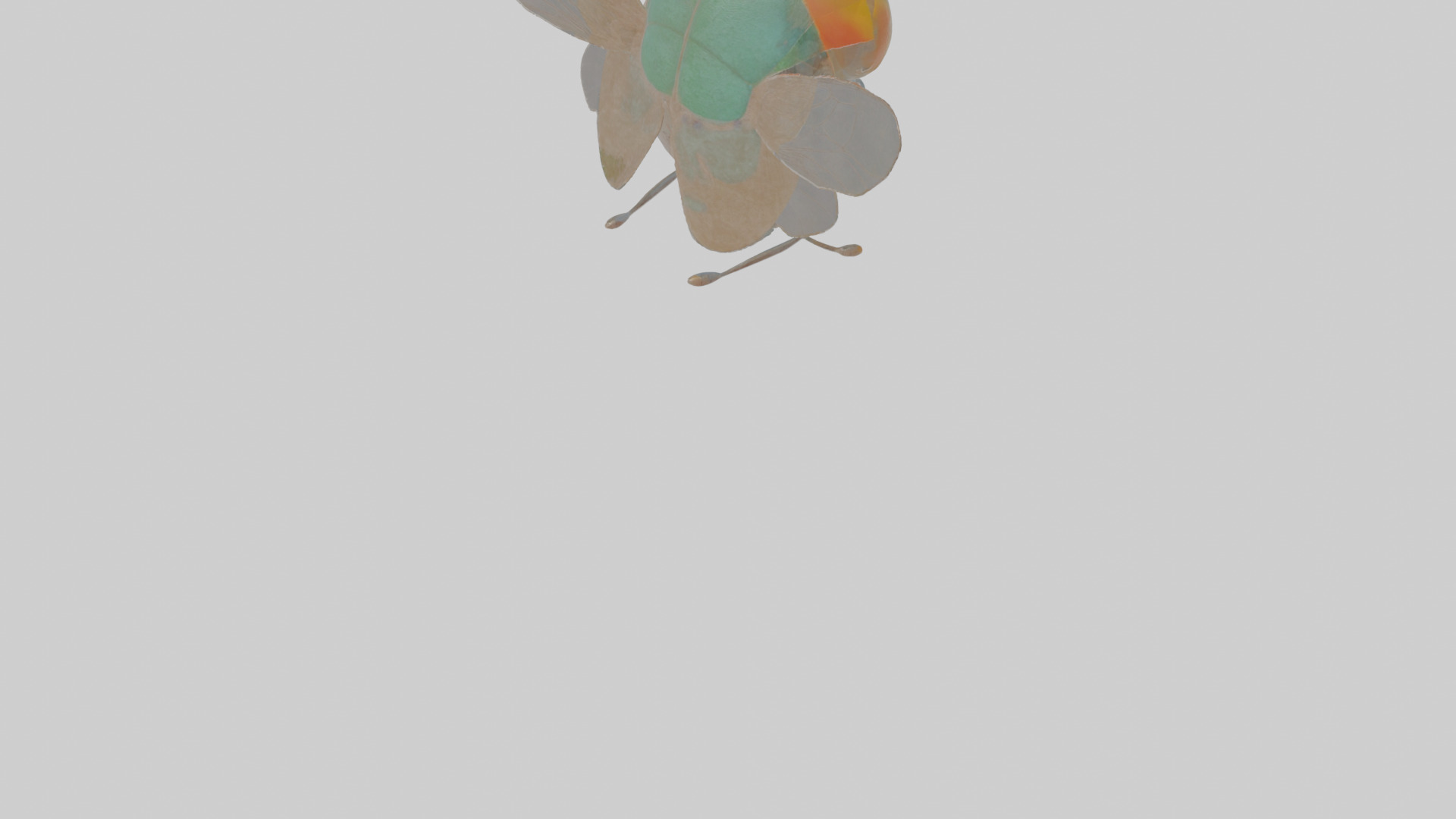 Cartoon Fly Low-poly 3D model_7