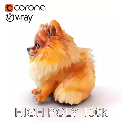 Fluffy Pomeranian Dog Model Pack