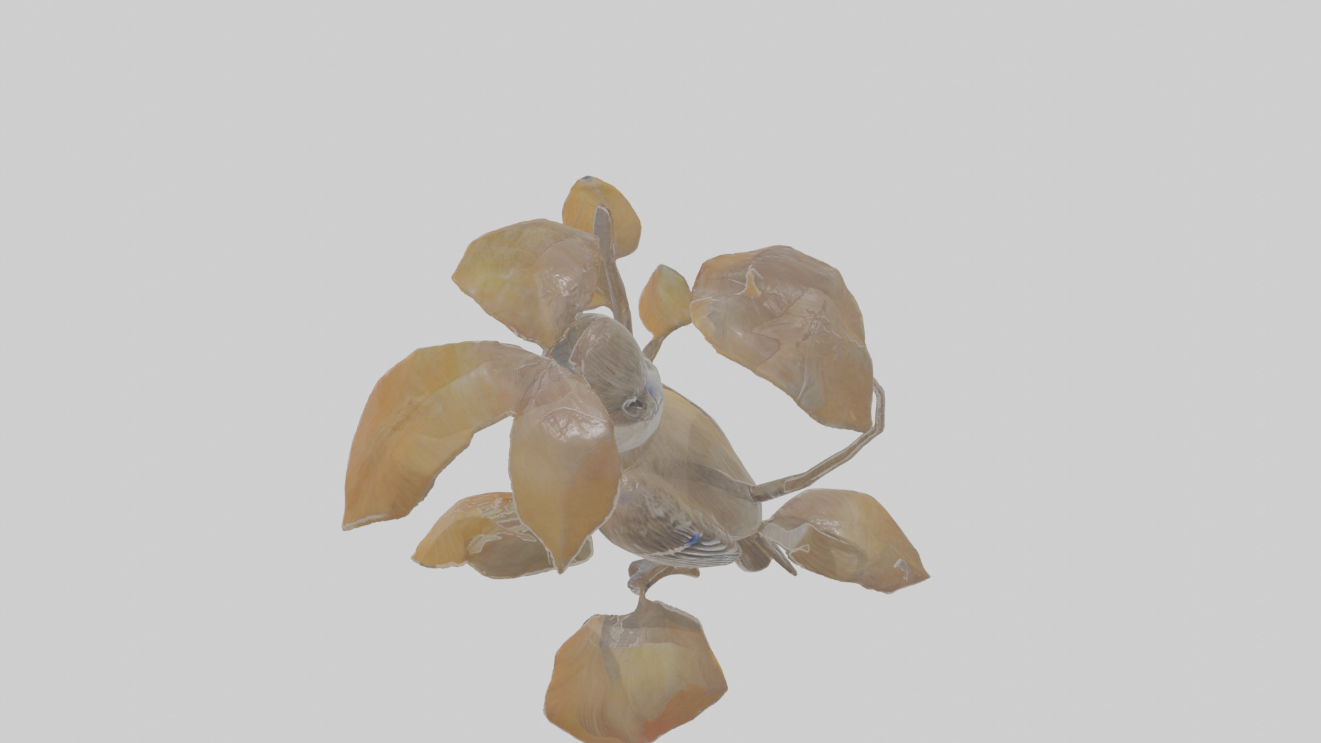 Cartoon Flycatchershrike Low-poly 3D model_25