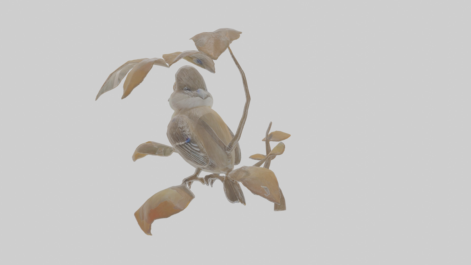 Cartoon Flycatchershrike Low-poly 3D model_2