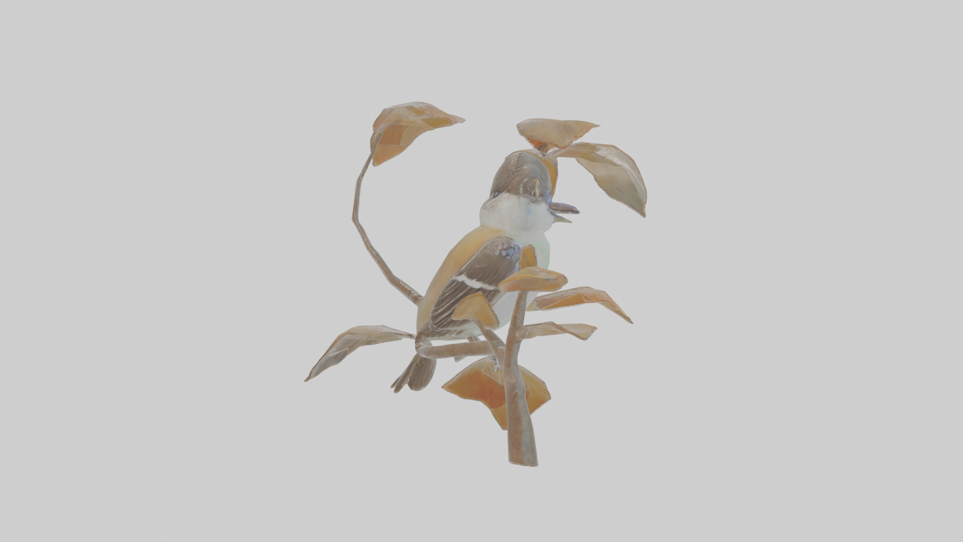 Cartoon Flycatchershrike Low-poly 3D model_19