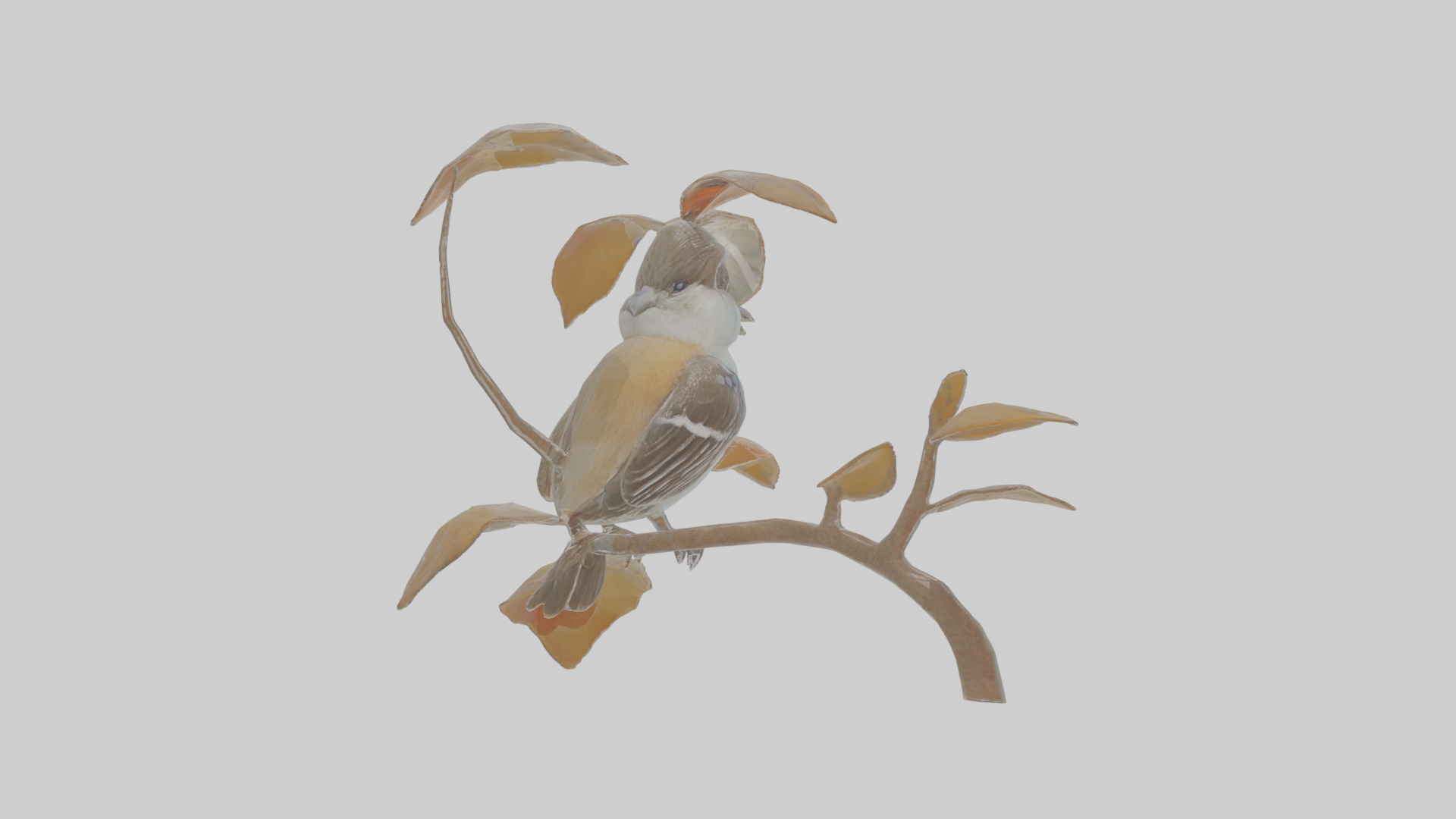 Cartoon Flycatchershrike Low-poly 3D model_4