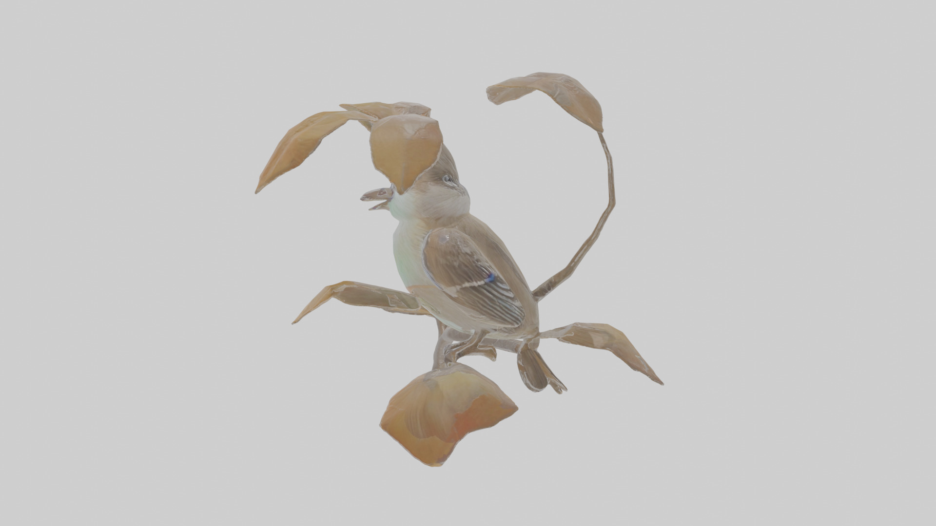 Cartoon Flycatchershrike Low-poly 3D model_18