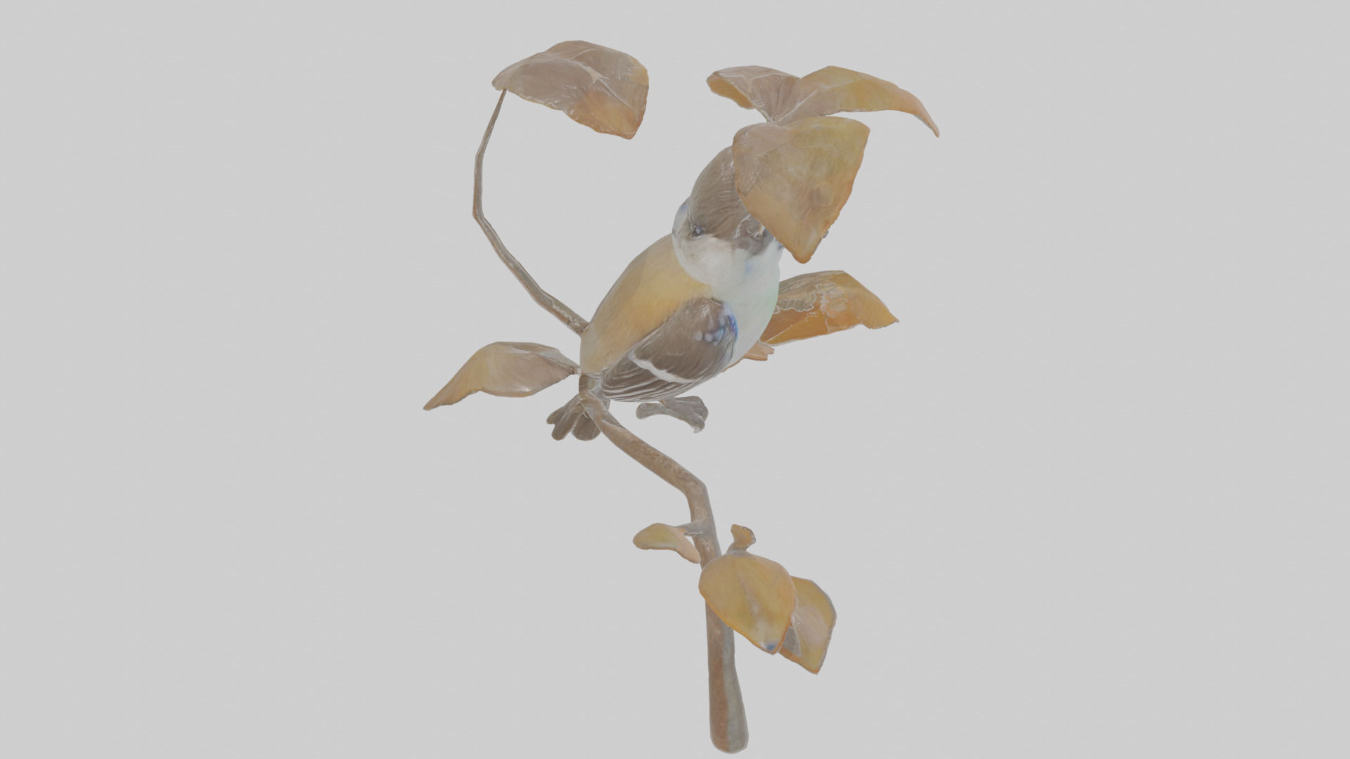 Cartoon Flycatchershrike Low-poly 3D model_28