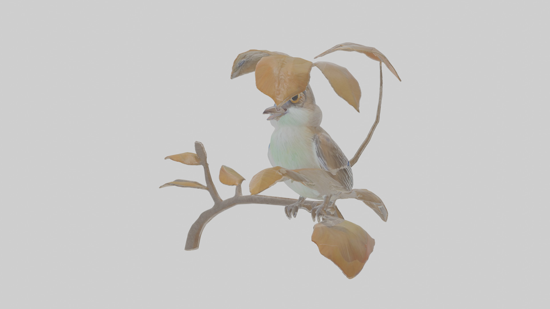 Cartoon Flycatchershrike Low-poly 3D model_13