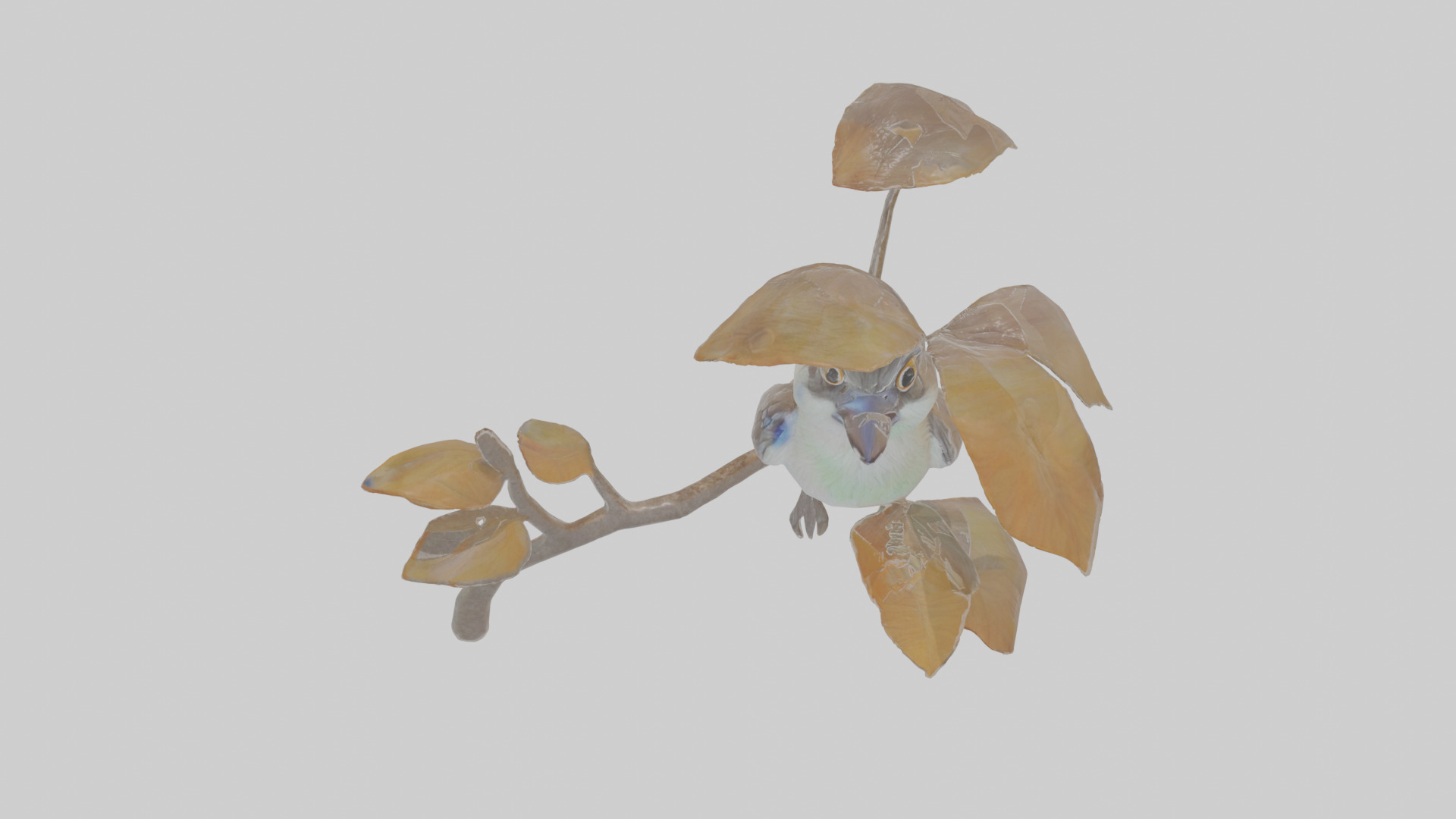 Cartoon Flycatchershrike Low-poly 3D model_24