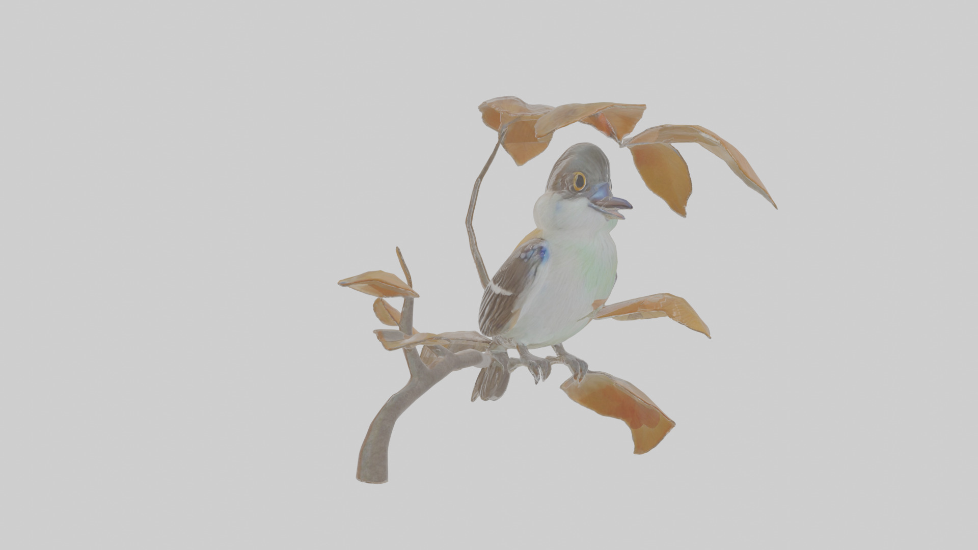 Cartoon Flycatchershrike Low-poly 3D model_12