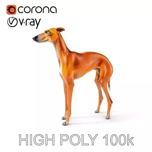 Realistic Greyhound Model Pack for D Rendering