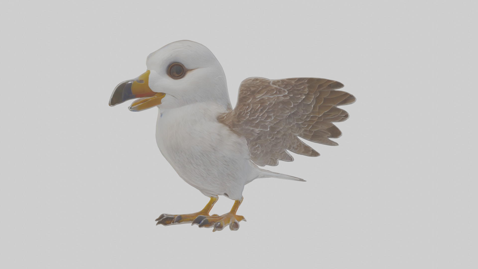 Cartoon Fulmar Low-poly 3D model_15