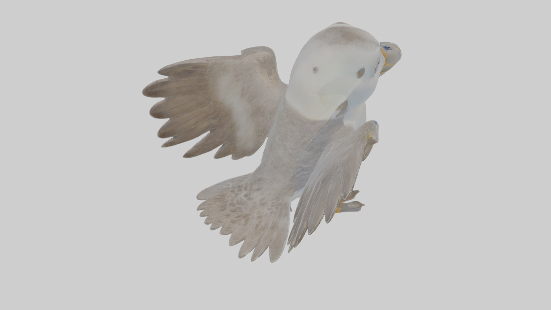 Cartoon Fulmar Low-poly 3D model_24