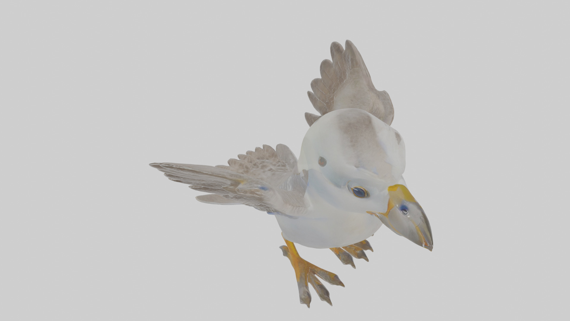 Cartoon Fulmar Low-poly 3D model_28
