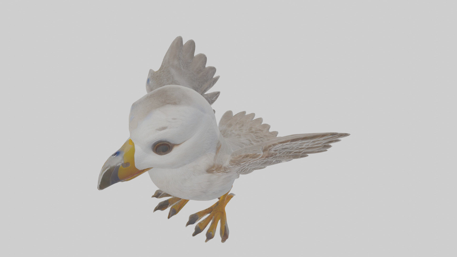 Cartoon Fulmar Low-poly 3D model_25