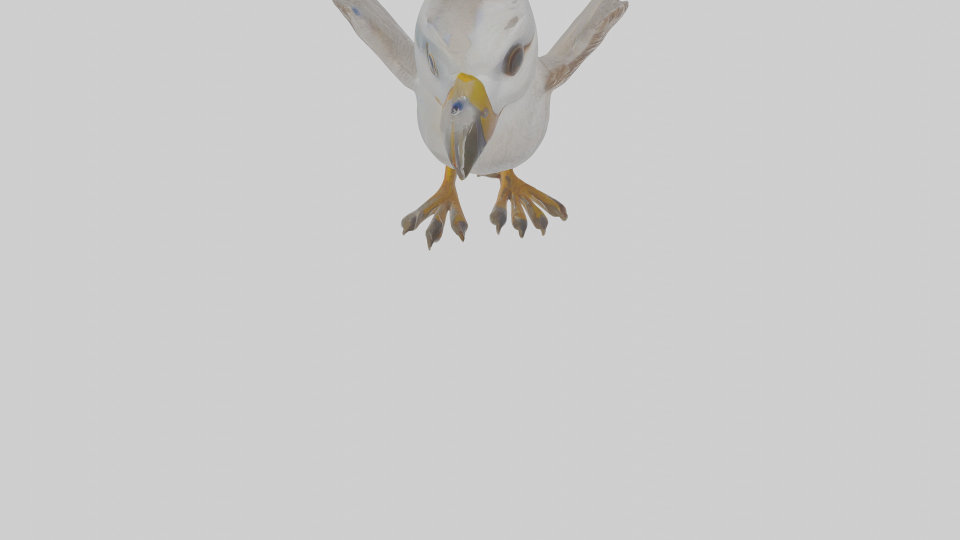Cartoon Fulmar Low-poly 3D model_10