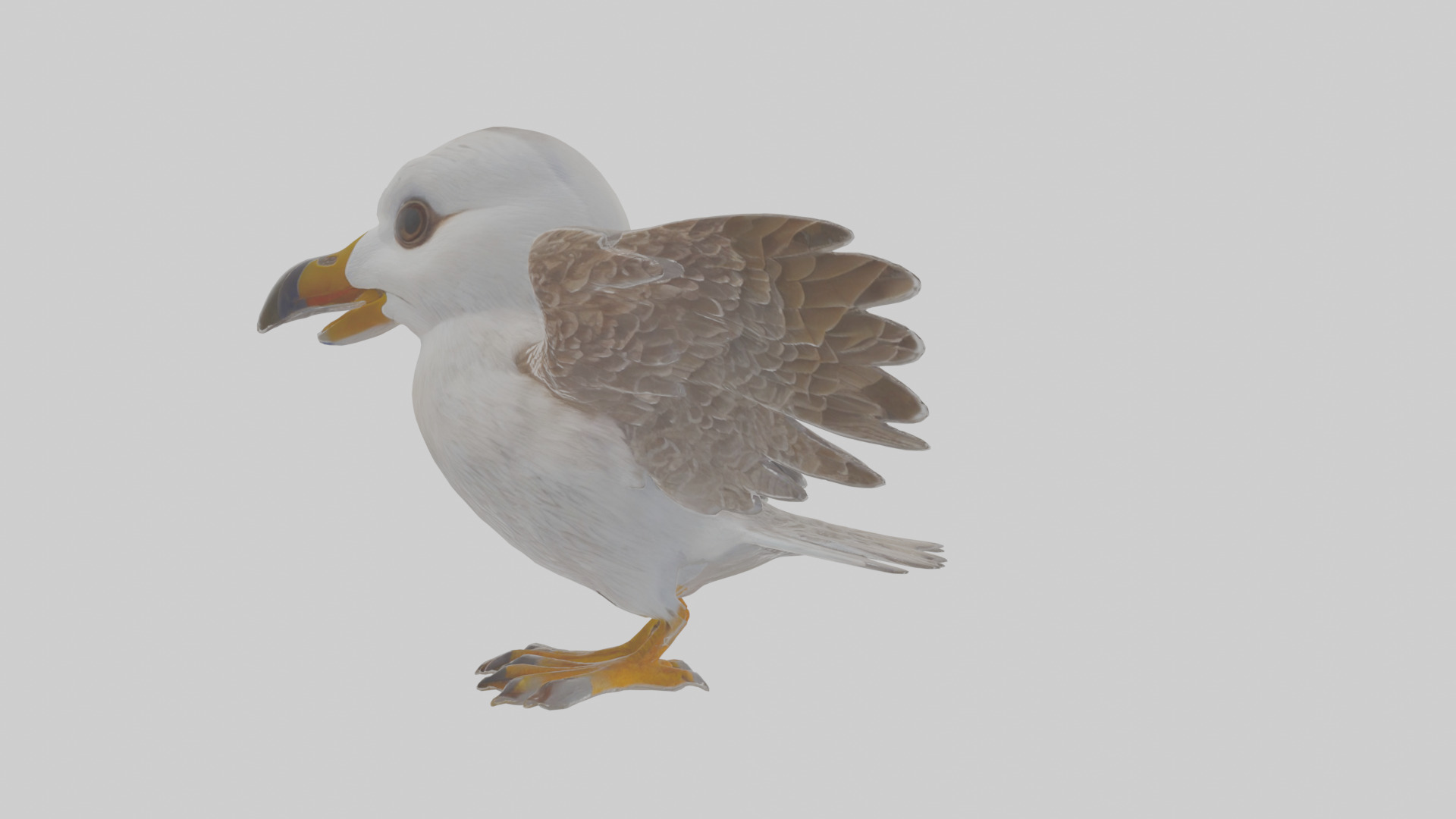 Cartoon Fulmar Low-poly 3D model_12