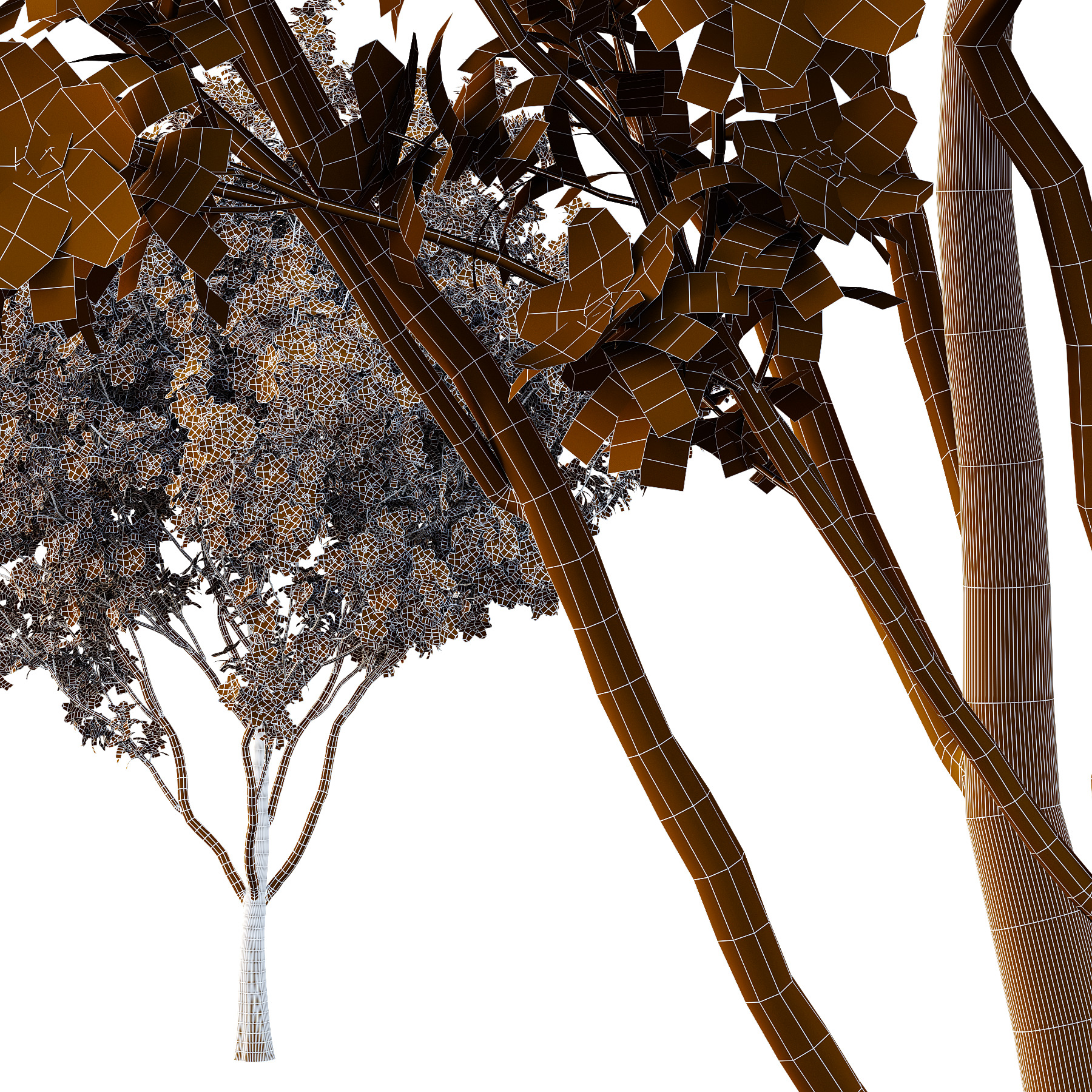 Different Trees 05 3D model_5