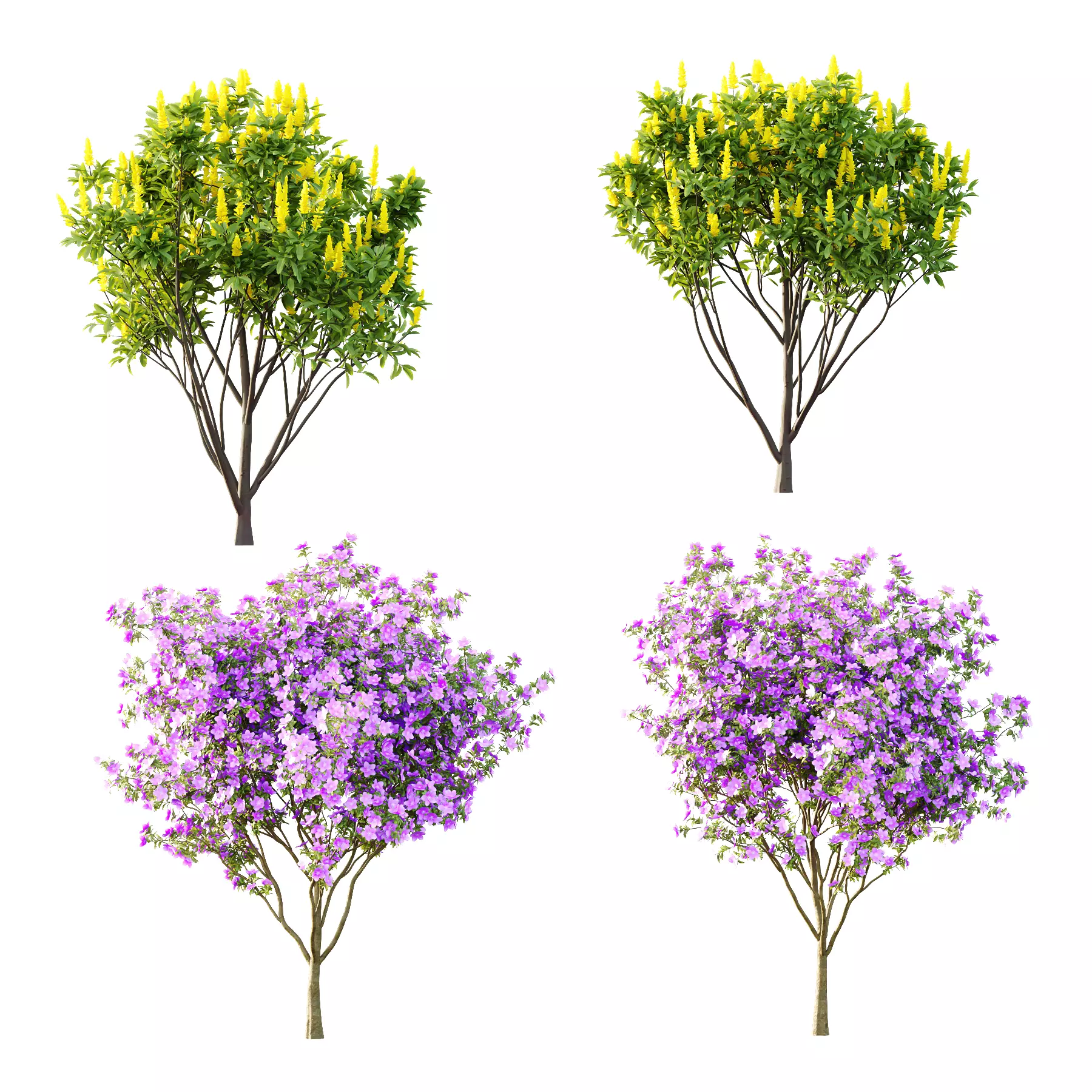 Different Trees 05 3D model_0