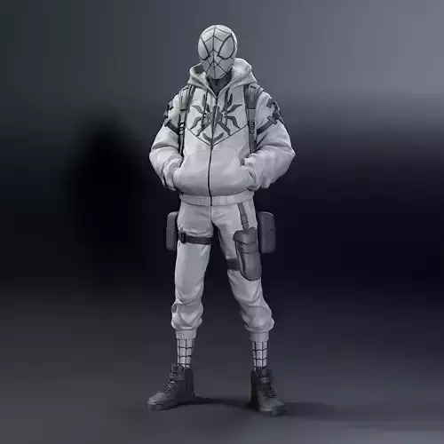 Spiderman Redesign 3D print model