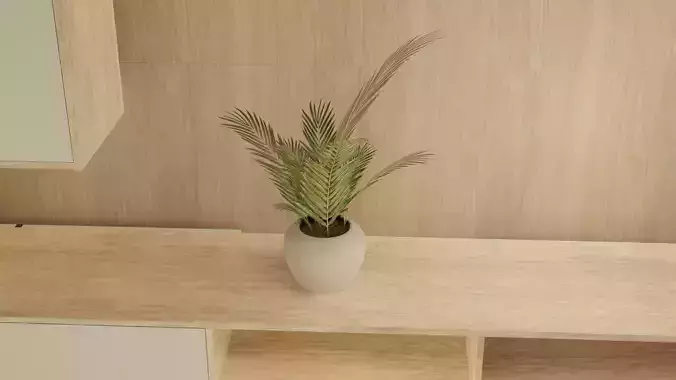 Modern Wooden Shelf with Plant 