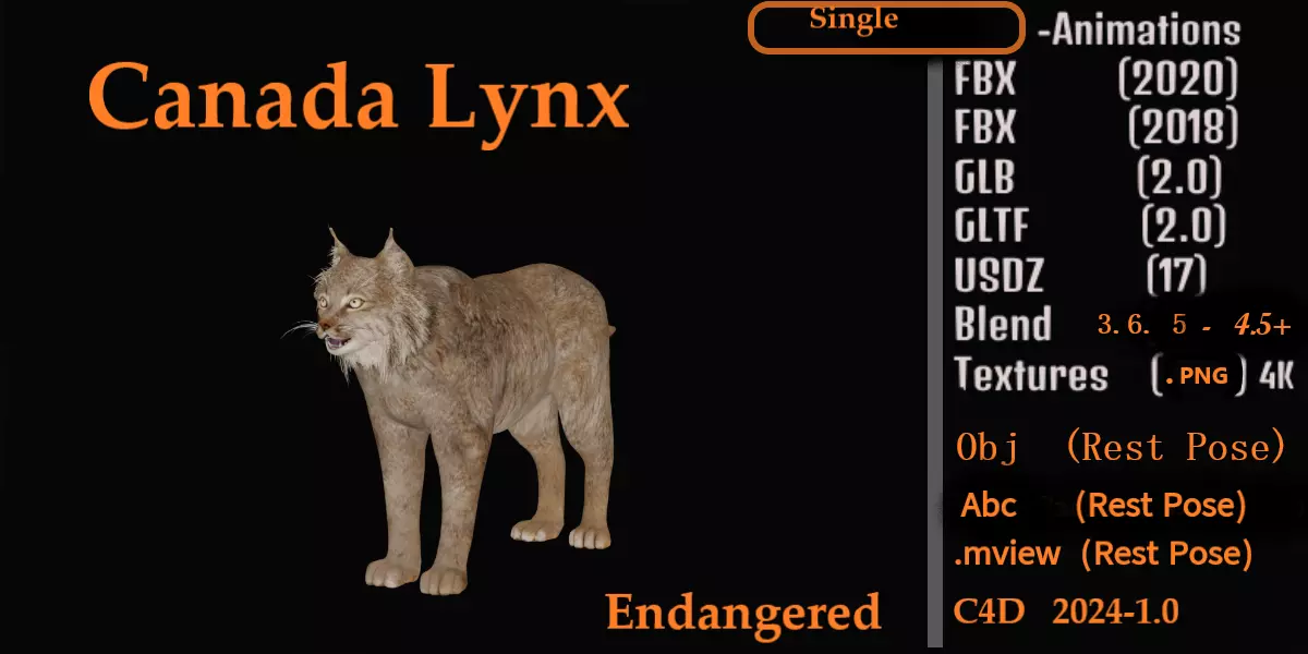 Canadian Lynx 3D model_0