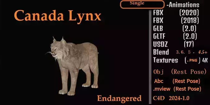 Canadian Lynx 3D model