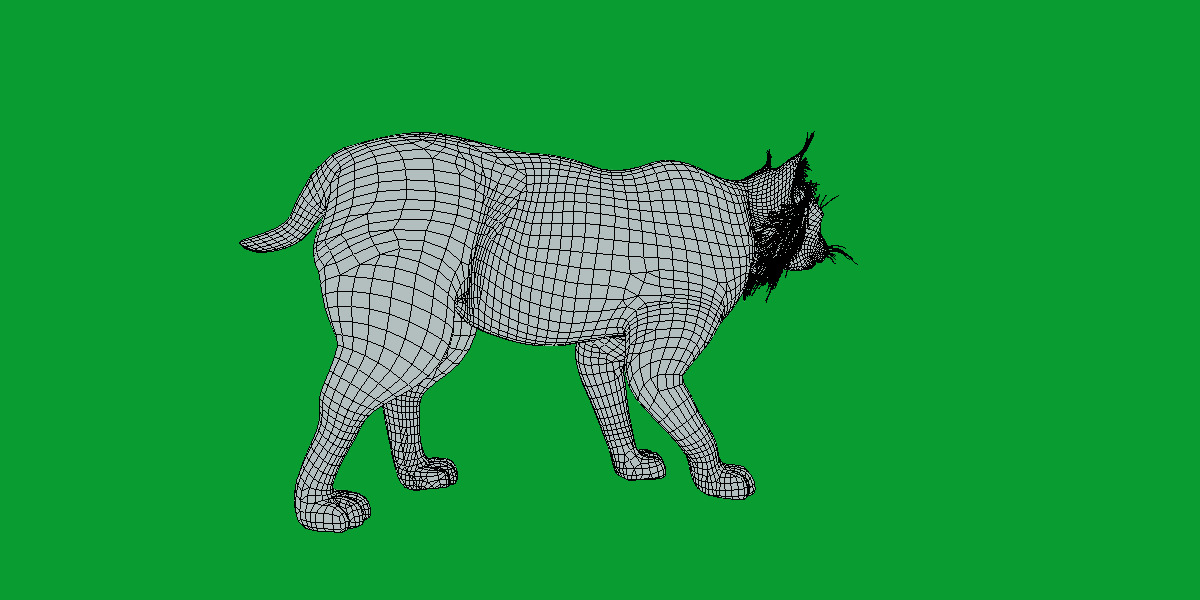 Canadian Lynx 3D model_21