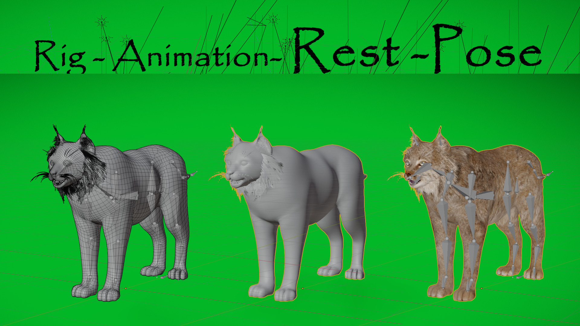 Canadian Lynx 3D model_16