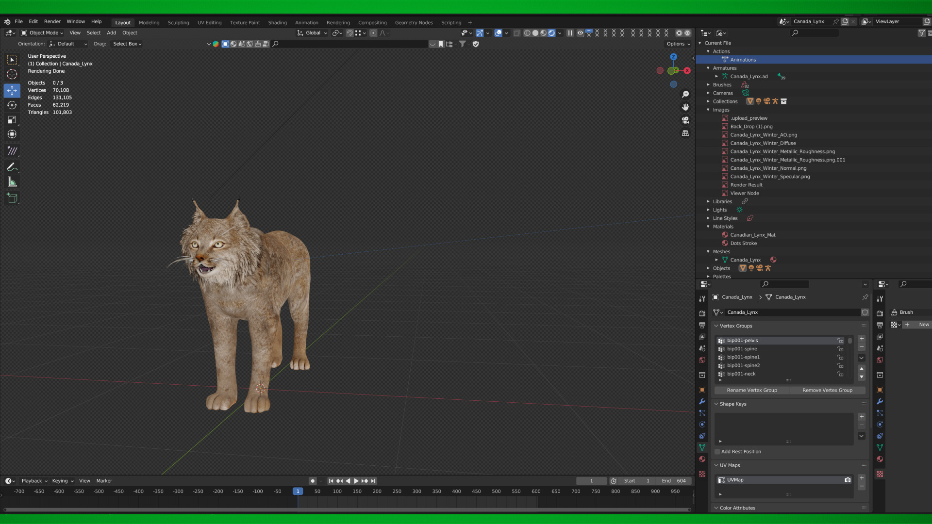 Canadian Lynx 3D model_8
