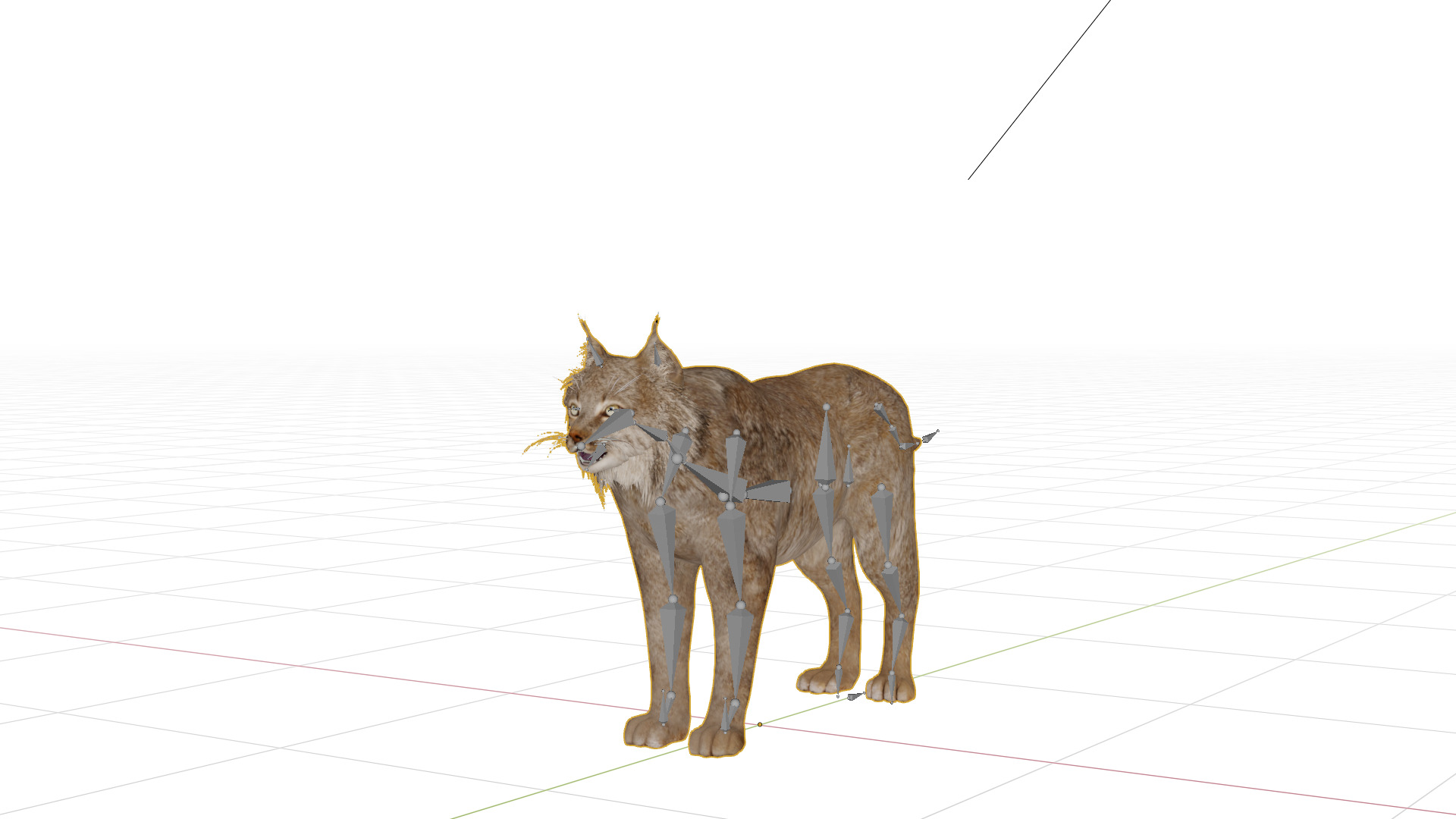 Canadian Lynx 3D model_6