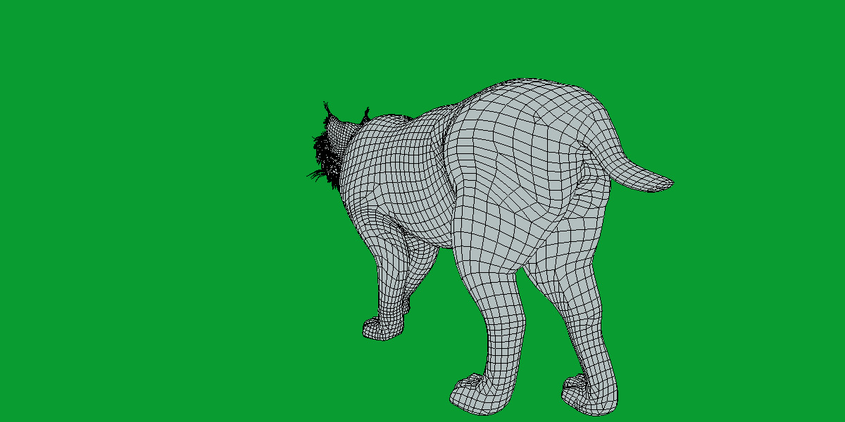 Canadian Lynx 3D model_22