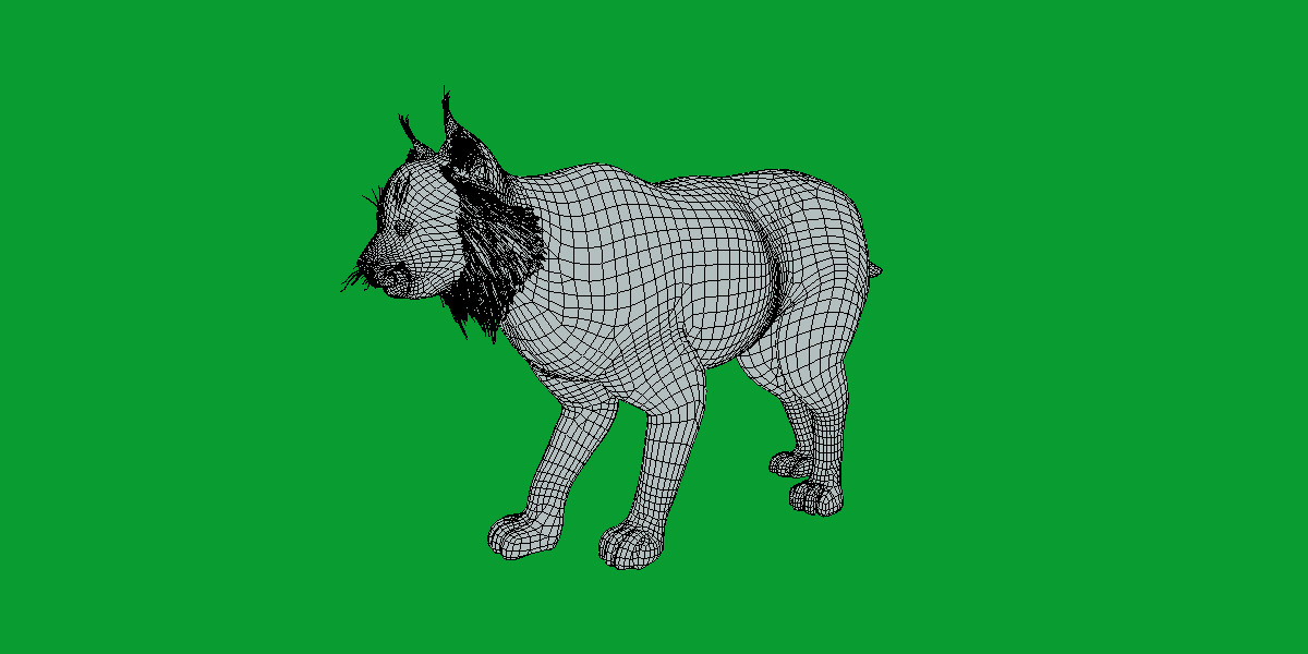 Canadian Lynx 3D model_23