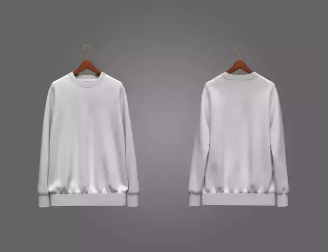 Unisex Raglan Sweatshirt on Hanger
