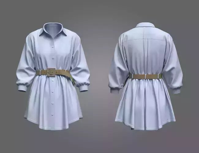 Female Shirt Dress 3