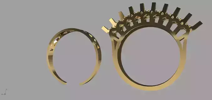 bunndle ring 1  3D print model