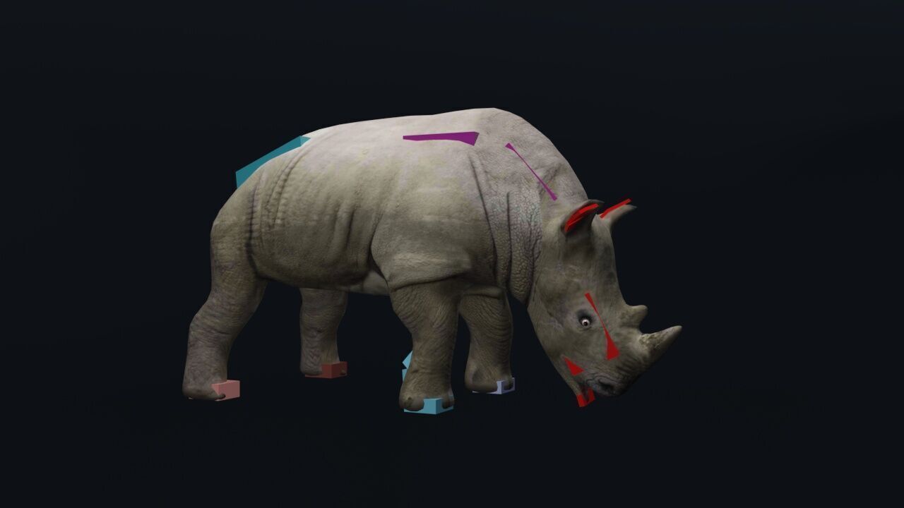 Rhino Low-poly 3D model_1