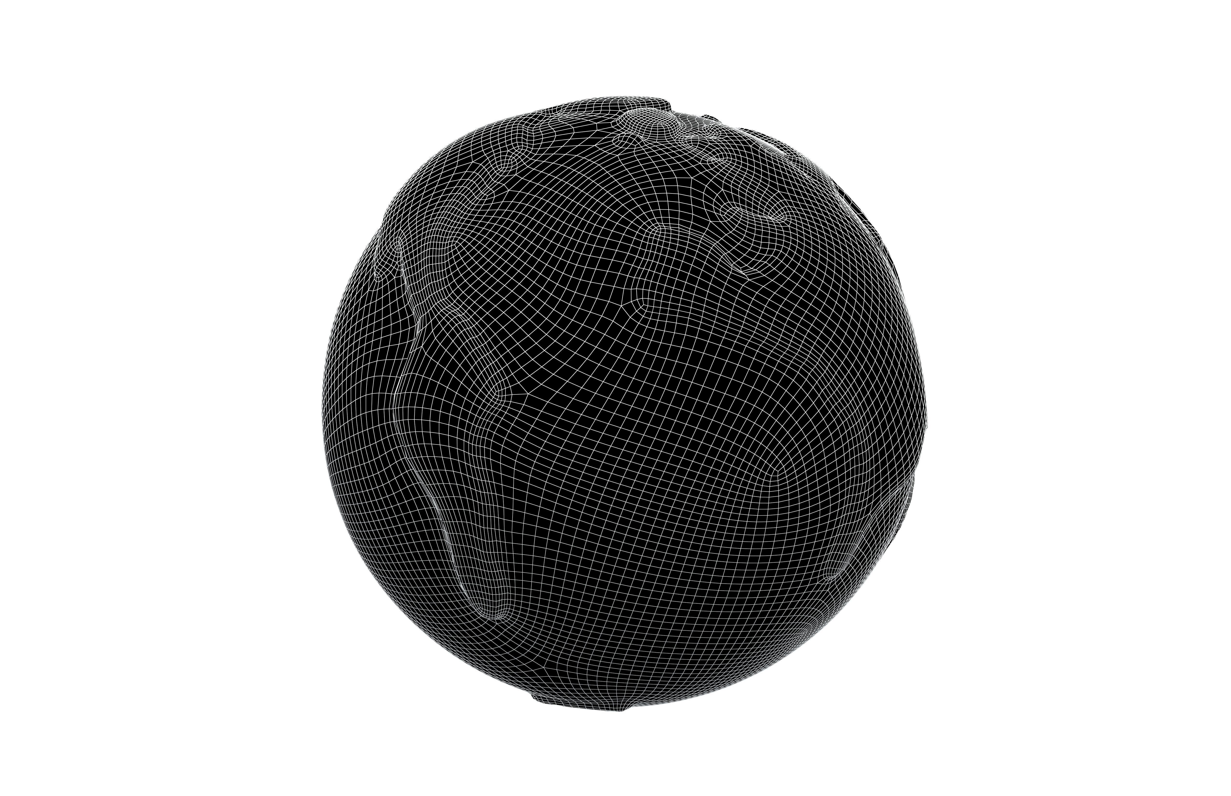 Cartoon Earth v1 001 Low-poly 3D model_6