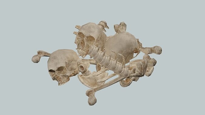 Humnan Bones And Skulls Collection Low-Poly 3D Model Low-poly 3D model