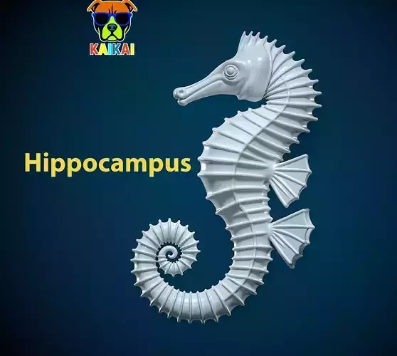 Hippocampus - Animal - decor - 3D print 3D print model