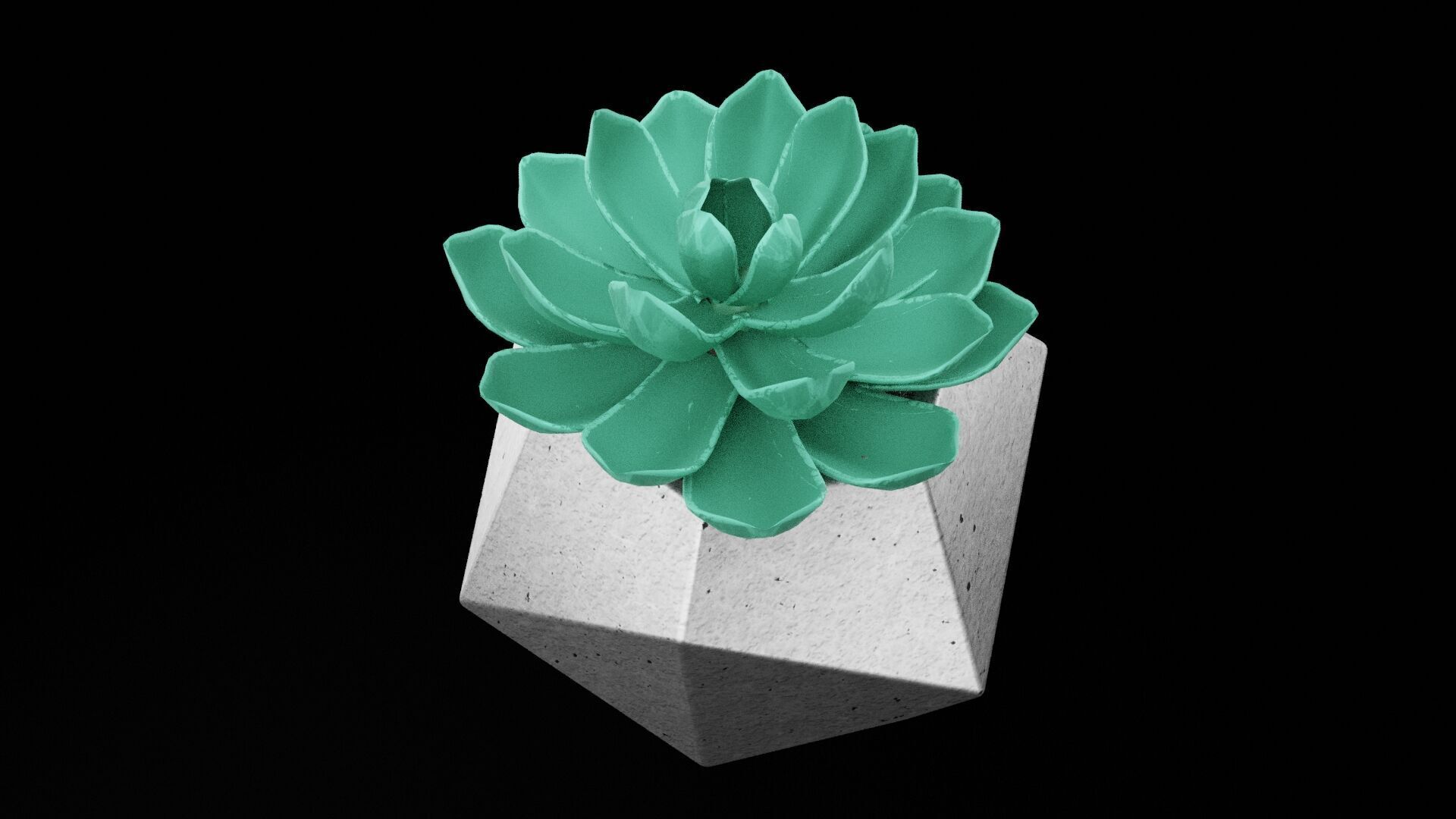 Succulent Plant Pot Low-poly 3D model_2