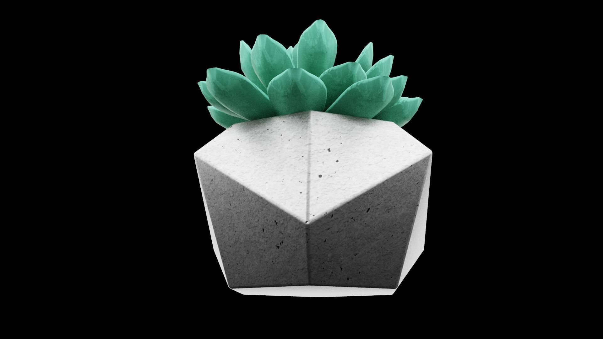Succulent Plant Pot Low-poly 3D model_5