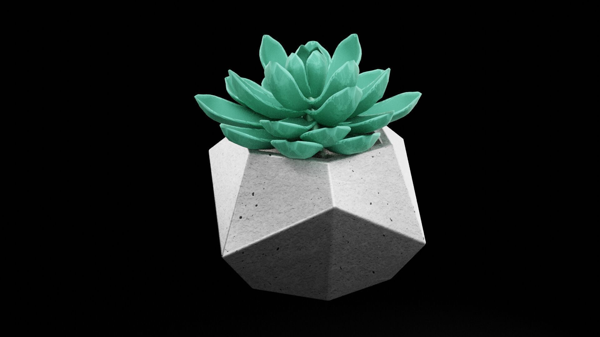 Succulent Plant Pot Low-poly 3D model_4