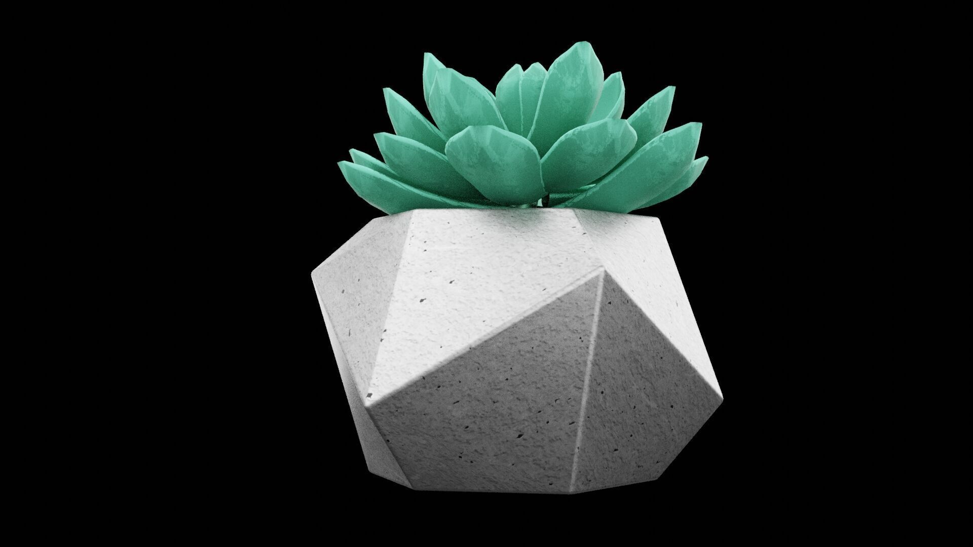 Succulent Plant Pot Low-poly 3D model_6