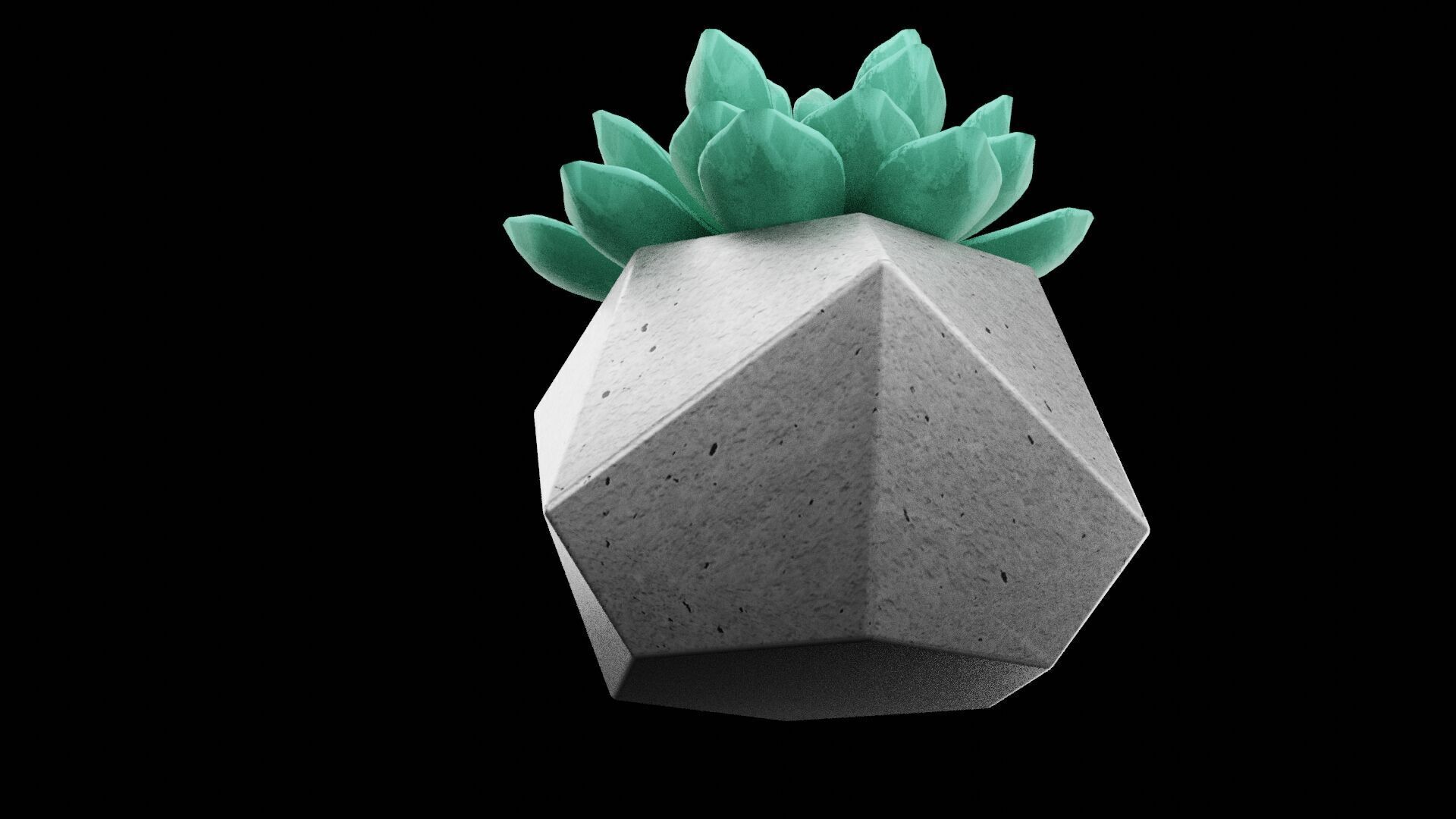 Succulent Plant Pot Low-poly 3D model_7
