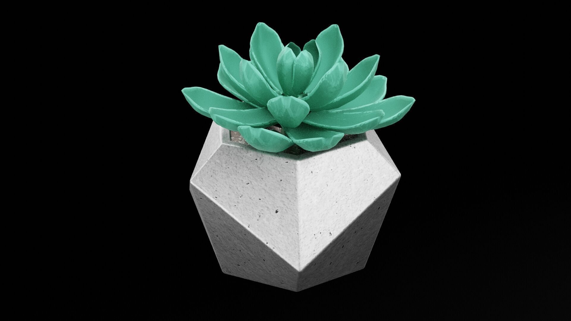 Succulent Plant Pot Low-poly 3D model_3
