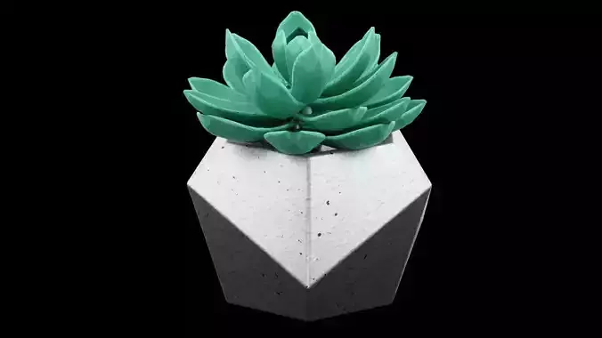Succulent Plant Pot