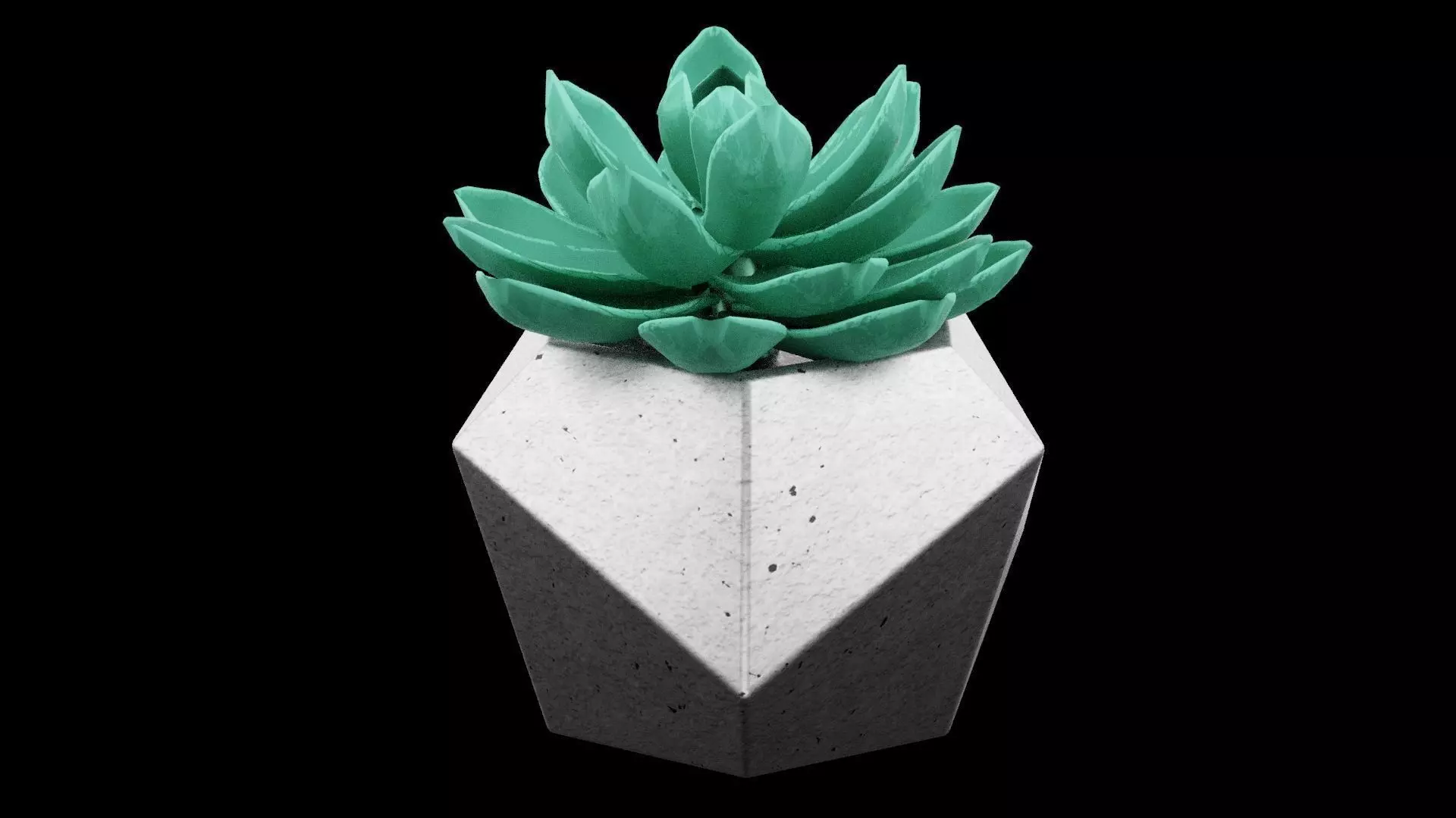 Succulent Plant Pot Low-poly 3D model_0