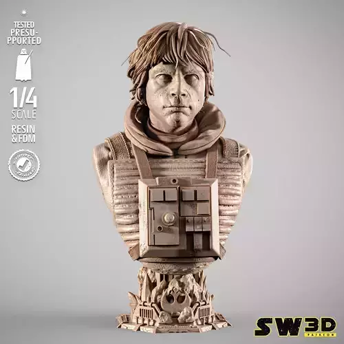 STAR WARS Luke Pilot Portrait Bust 