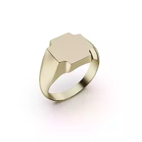 Signet ring 2025-01